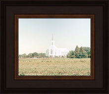 Load image into Gallery viewer, Burley Idaho Immaculate Embrace Blue