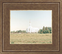 Load image into Gallery viewer, Burley Idaho Immaculate Embrace Blue