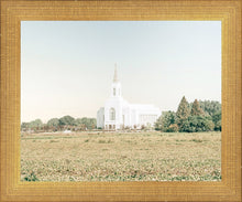 Load image into Gallery viewer, Burley Idaho Immaculate Embrace Blue