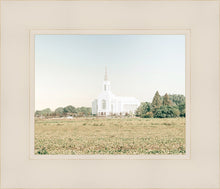 Load image into Gallery viewer, Burley Idaho Immaculate Embrace Blue