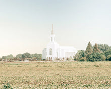 Load image into Gallery viewer, Burley Idaho Immaculate Embrace Blue