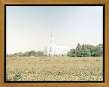 Load image into Gallery viewer, Burley Idaho Immaculate Embrace Blue