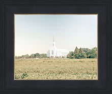 Load image into Gallery viewer, Burley Idaho Immaculate Embrace Blue