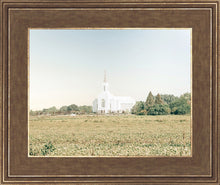 Load image into Gallery viewer, Burley Idaho Immaculate Embrace Blue