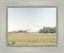 Load image into Gallery viewer, Burley Idaho Immaculate Embrace Blue