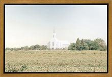 Load image into Gallery viewer, Burley Idaho Immaculate Embrace Blue