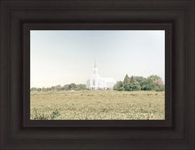 Load image into Gallery viewer, Burley Idaho Immaculate Embrace Blue