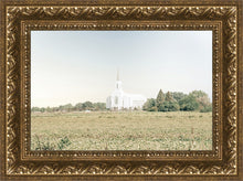 Load image into Gallery viewer, Burley Idaho Immaculate Embrace Blue