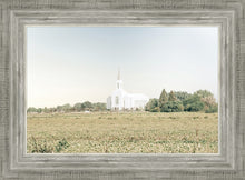 Load image into Gallery viewer, Burley Idaho Immaculate Embrace Blue