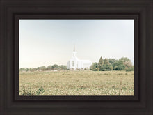 Load image into Gallery viewer, Burley Idaho Immaculate Embrace Blue