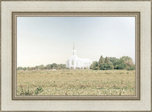 Load image into Gallery viewer, Burley Idaho Immaculate Embrace Blue