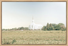 Load image into Gallery viewer, Burley Idaho Immaculate Embrace Blue