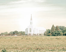 Load image into Gallery viewer, Burley Idaho Immaculate Embrace Pastel