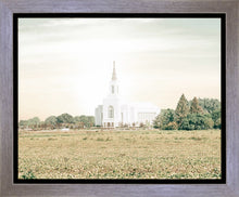 Load image into Gallery viewer, Burley Idaho Immaculate Embrace Pastel