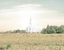 Load image into Gallery viewer, Burley Idaho Immaculate Embrace Pastel
