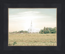 Load image into Gallery viewer, Burley Idaho Immaculate Embrace Pastel