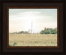 Load image into Gallery viewer, Burley Idaho Immaculate Embrace Pastel