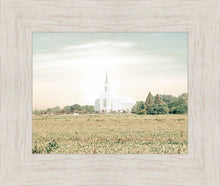 Load image into Gallery viewer, Burley Idaho Immaculate Embrace Pastel