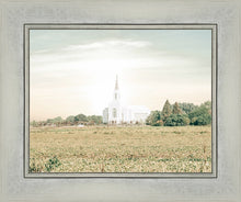 Load image into Gallery viewer, Burley Idaho Immaculate Embrace Pastel