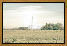 Load image into Gallery viewer, Burley Idaho Immaculate Embrace Pastel