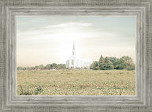 Load image into Gallery viewer, Burley Idaho Immaculate Embrace Pastel