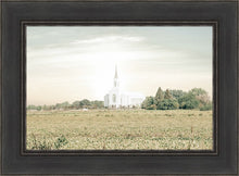Load image into Gallery viewer, Burley Idaho Immaculate Embrace Pastel