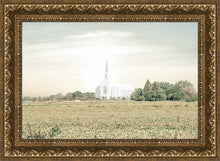 Load image into Gallery viewer, Burley Idaho Immaculate Embrace Pastel
