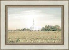 Load image into Gallery viewer, Burley Idaho Immaculate Embrace Pastel