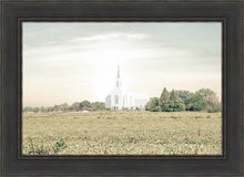 Load image into Gallery viewer, Burley Idaho Immaculate Embrace Pastel