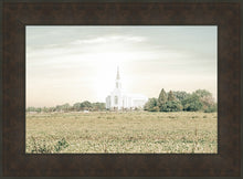 Load image into Gallery viewer, Burley Idaho Immaculate Embrace Pastel