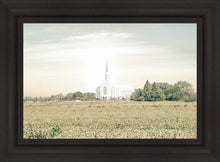 Load image into Gallery viewer, Burley Idaho Immaculate Embrace Pastel