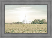Load image into Gallery viewer, Burley Idaho Immaculate Embrace Pastel