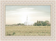 Load image into Gallery viewer, Burley Idaho Immaculate Embrace Pastel