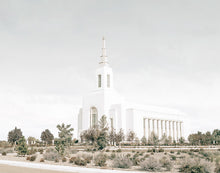Load image into Gallery viewer, Burley Idaho Sacred Grounds Grey