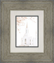 Load image into Gallery viewer, Lindon Utah Celestial View
