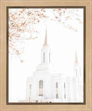 Load image into Gallery viewer, Lindon Utah Celestial View