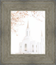 Load image into Gallery viewer, Lindon Utah Celestial View