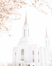 Load image into Gallery viewer, Lindon Utah Celestial View