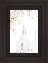 Load image into Gallery viewer, Lindon Utah Celestial View