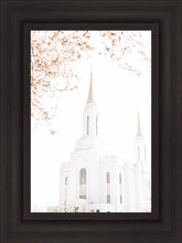 Load image into Gallery viewer, Lindon Utah Celestial View