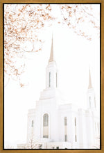 Load image into Gallery viewer, Lindon Utah Celestial View