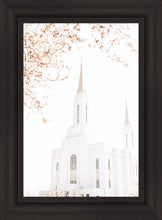 Load image into Gallery viewer, Lindon Utah Celestial View