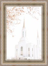 Load image into Gallery viewer, Lindon Utah Celestial View