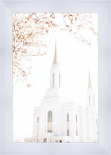 Load image into Gallery viewer, Lindon Utah Celestial View