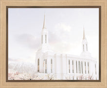 Load image into Gallery viewer, Lindon Utah Immaculate Embrace