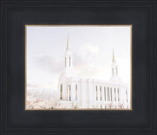 Load image into Gallery viewer, Lindon Utah Immaculate Embrace