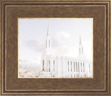 Load image into Gallery viewer, Lindon Utah Immaculate Embrace
