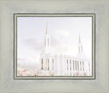 Load image into Gallery viewer, Lindon Utah Immaculate Embrace