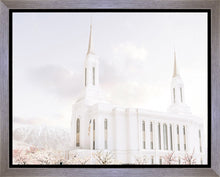 Load image into Gallery viewer, Lindon Utah Immaculate Embrace