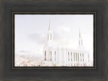Load image into Gallery viewer, Lindon Utah Immaculate Embrace